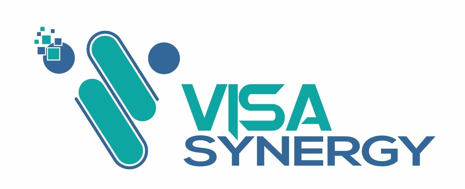 Visa Synergy